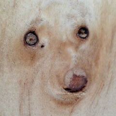 Давел Пороговцев, 10.01