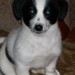 Иван Надымский, 31.10