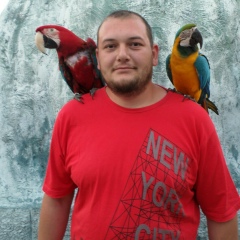 Араик Овсепян, 18.12, Запорожье