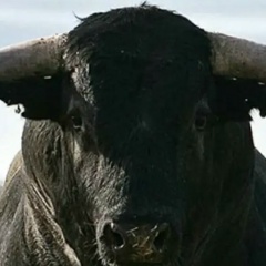 Константин Чекаво, 03.01, Новосибирск