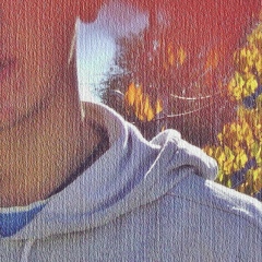 Van Conrad, Ниспорены