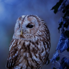 Мария Павлюкова, 27.05.1986