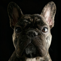 Тоби Соколовский, 05.05, Санкт-Петербург