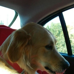 Feride Dolguner, 05.08.1979