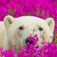 Евгения Федорова, 08.11, Гатчина