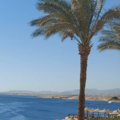 Анастасия Терехова, 25.11.1984, Ростов-на-Дону