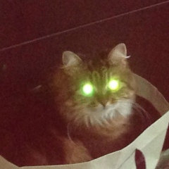 Кира Клюнина, 18.08.1978, Санкт-Петербург