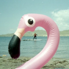 Алексей Есаулов, 24.10.1984, Иркутск