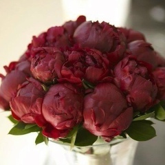 Толганай Нурсейит, 17.09.1988, Шымкент