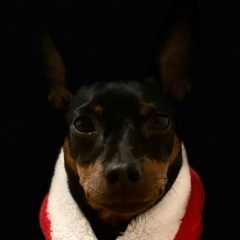 Евгений Лисовский, 12.04.1987, Санкт-Петербург