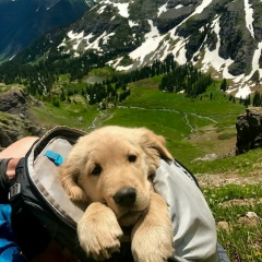 Тома Бостанова, 22.05.1990, Тараз