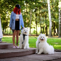 Катя Алексеева, 18.12, Москва