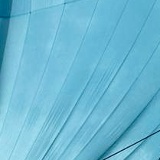 Елена Бердюгина, Выборг