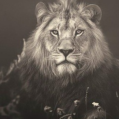 Elyorbek Umurzakov, Воронеж