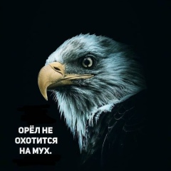 Жасулан Акулов, 22.04, Шымкент