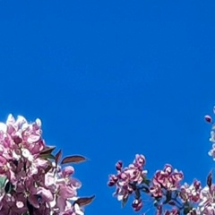 Лилия Сергеевна, Улан-Удэ