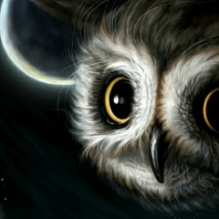 Артём Гапоненко, Гомель