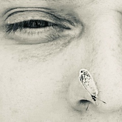 Андрей Шнякин, Москва