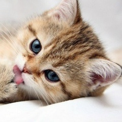 Виктория Лукьяненко, 16.01, Большая Мурта