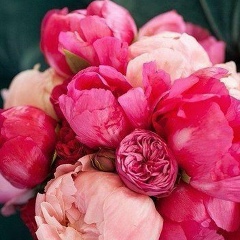 Indira In, 14.02, Алматы