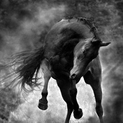 Ника Демидова, 27.06, Керчь