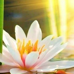 Елена Безенкова, 12.01.1983, Москва