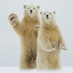 Дмитрий Ишимбаев, Стерлитамак