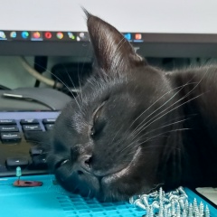 Игорь Сидоров, 28.04.1984, Москва