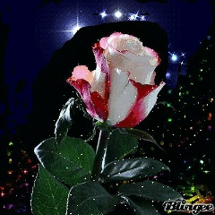 Алия Сидикова, 20.09.2000, Актау