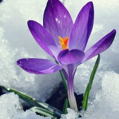 Надежда Бельских, 24.01, Кунгур