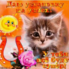 Жибек Исмурзинова, 17.03.1961, Курган