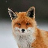 Артур Епрынцев, 23.05.1991, Черкесск