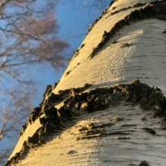 Катрин Голец, 09.04.1983, Москва