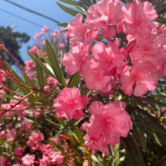 Виктория Каменева, 06.11.1990, Москва