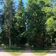 Roman Loginu, 22.11.1983