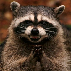 Дмитрий Кононов, 15.08.1972, Санкт-Петербург