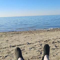 Михаил Иванов, Hamburg