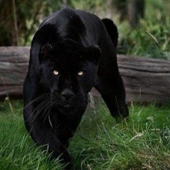 Алибек Сарыбаев, 02.06.1987, Алматы