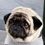 Сергей Ситничук, 15.05, Красноярск