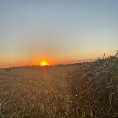 Екатерина Шакирова, Москва