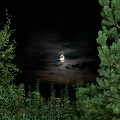 Лёка Алёка, 22.10.1986, Астана