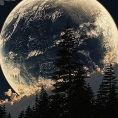 Sabit Zhalmaganbetov, 05.12.1971, Пятихатка