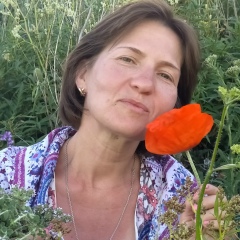 Лиза Решетник, Вольгинский