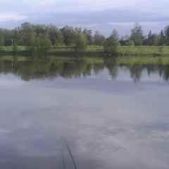 Сергей Дмитриев, Нежин