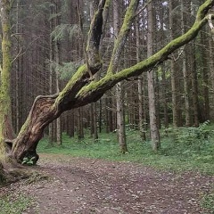 Кристина Морозова, 06.04, Санкт-Петербург