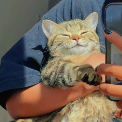 Диана Камчыбекова, 01.10