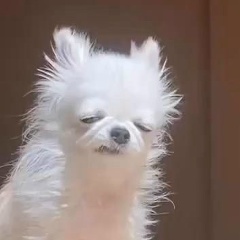 Наталия Рудман, 26.06, Воронеж