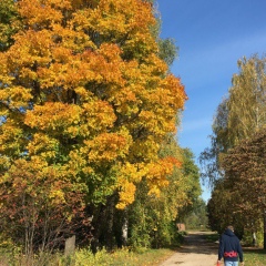 Александр Матвеев, 21.10.1990, Москва