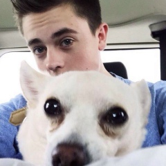 Евгений Ландис, 10.04.2000