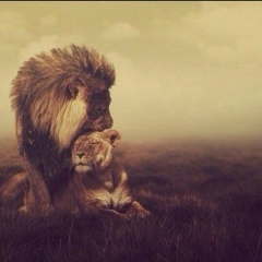 Nodar Kalashov, 07.10.1906